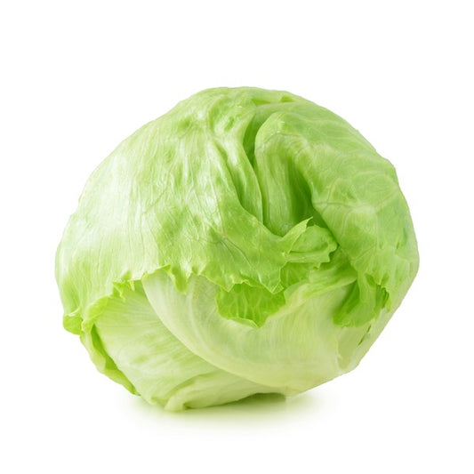 Lechuga iceberg