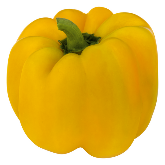 Yellow Bell Pepper