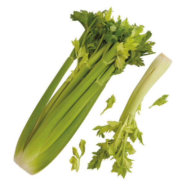 Celery, Package 1 lb container