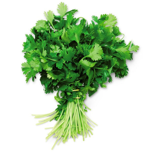 Cilantro 1 each